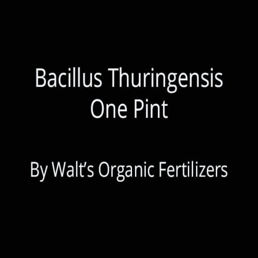 Bacillus Thuringensis One Pint