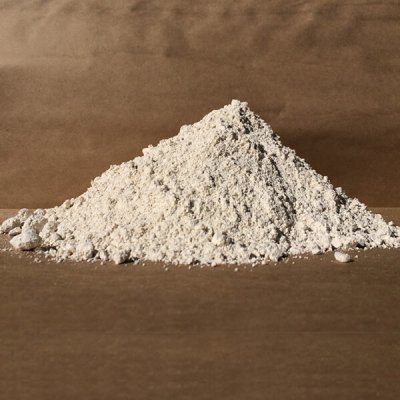 Diatomaceous Earth