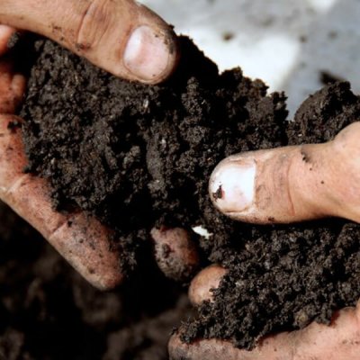 Soil Products