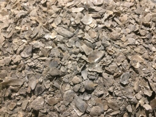 Crushed Oyster Shell For Laying Hens Or Slug Deterrent Walts