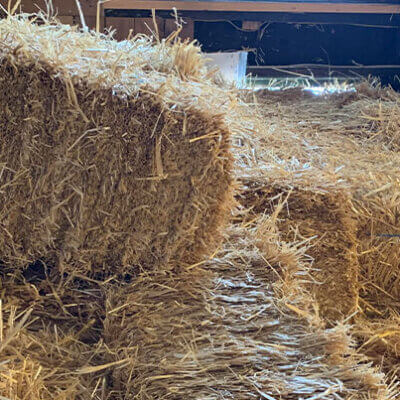 Organic-Straw-Bales-Walt's-Organic